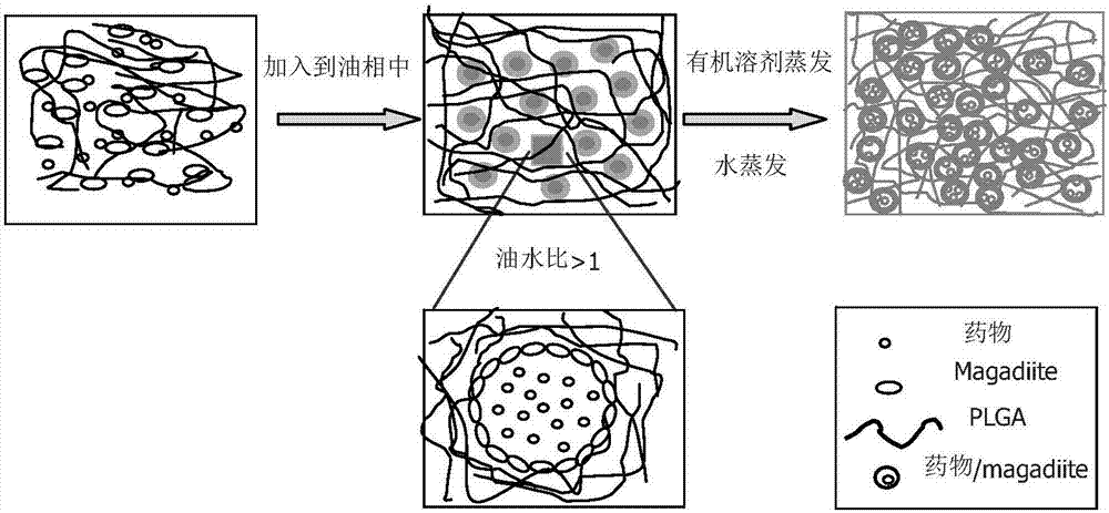 Nano-hybrid drug carrier prepared through Pickering emulsion template method with magadiite serving as emulsifier and preparation method of nano-hybrid drug carrier