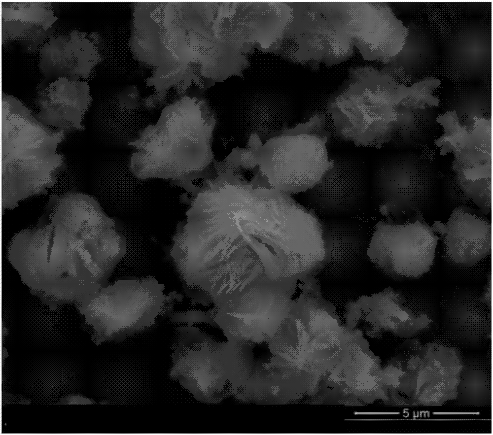 Nano-hybrid drug carrier prepared through Pickering emulsion template method with magadiite serving as emulsifier and preparation method of nano-hybrid drug carrier