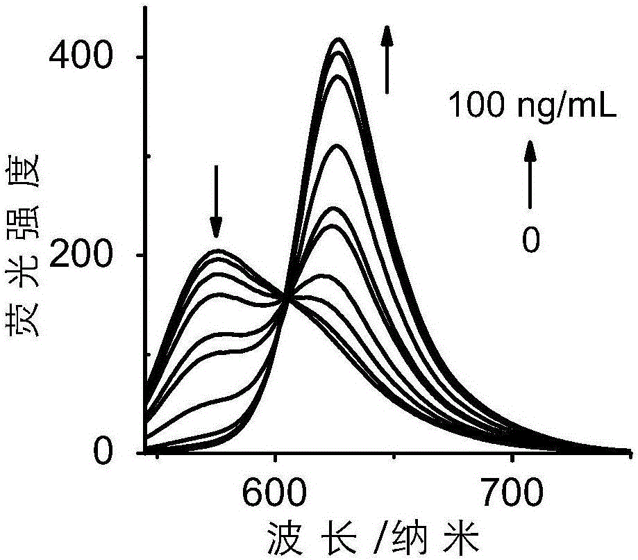 Ratio-type fluorescence probe for detecting alanine aminopeptidase as well as preparation method and application thereof