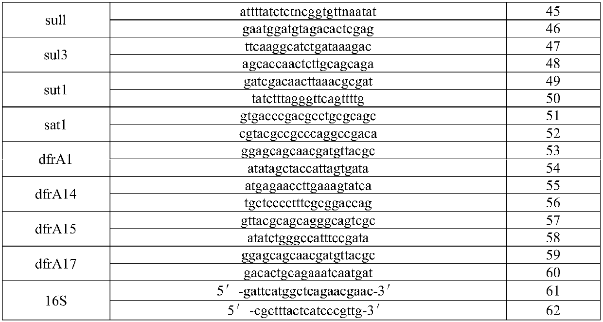 Nucleic acid reagent, kit, system and method for detecting Gram-negative bacteria and/or drug resistance of Gram-negative bacteria