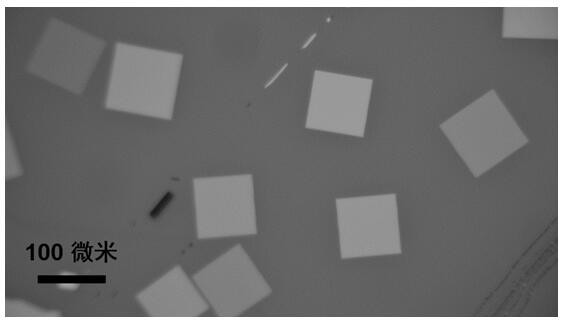 Method for preparing layered bismuth-oxygen-selenium semiconductor film by reverse airflow method