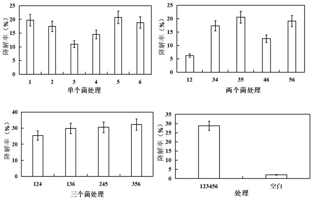 A compound microbial agent for efficient degradation of lignocellulosic fibers and its application in composting