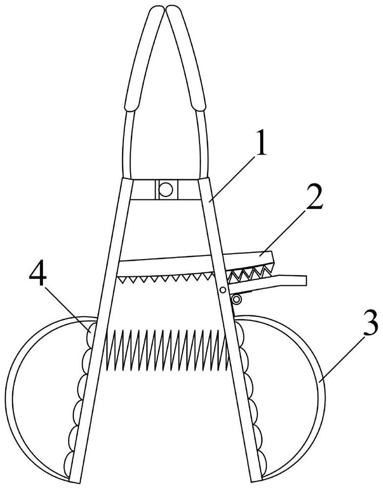 Spreader special for pediatric respiratory tract examination