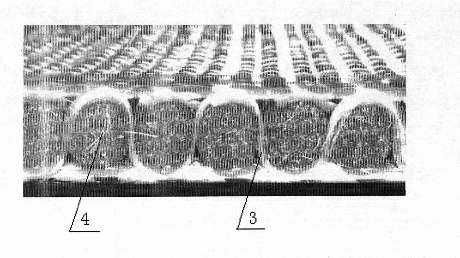 Three-dimensional reinforced fabric knitted with foam strips