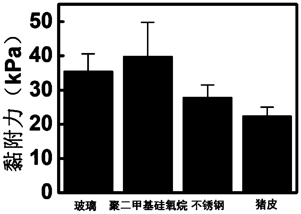 Preparation method of hydrogel based on polyphenol-silver nano-enzyme with plasma effect