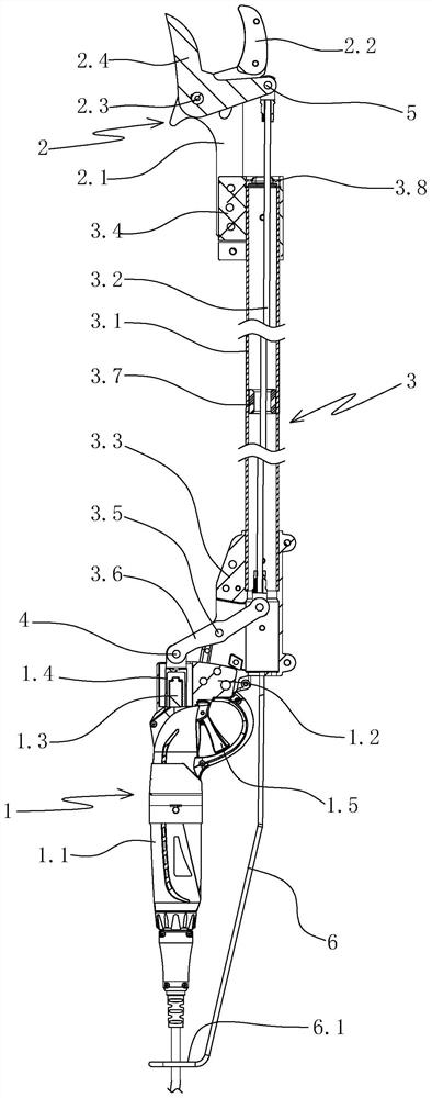 electric high branch shears