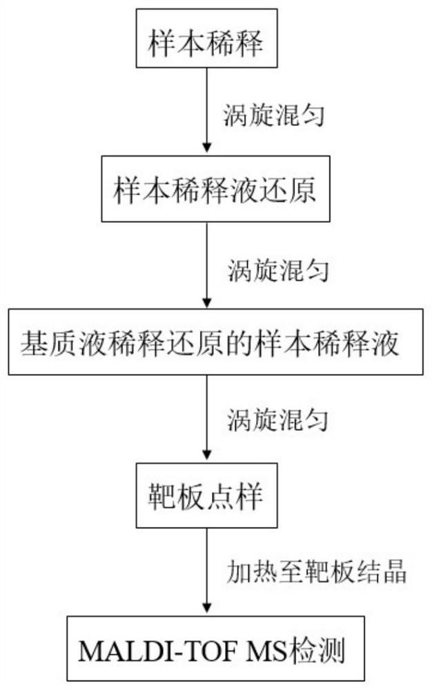 Method for detecting M protein in serum based on MADLI-TOF MS technology