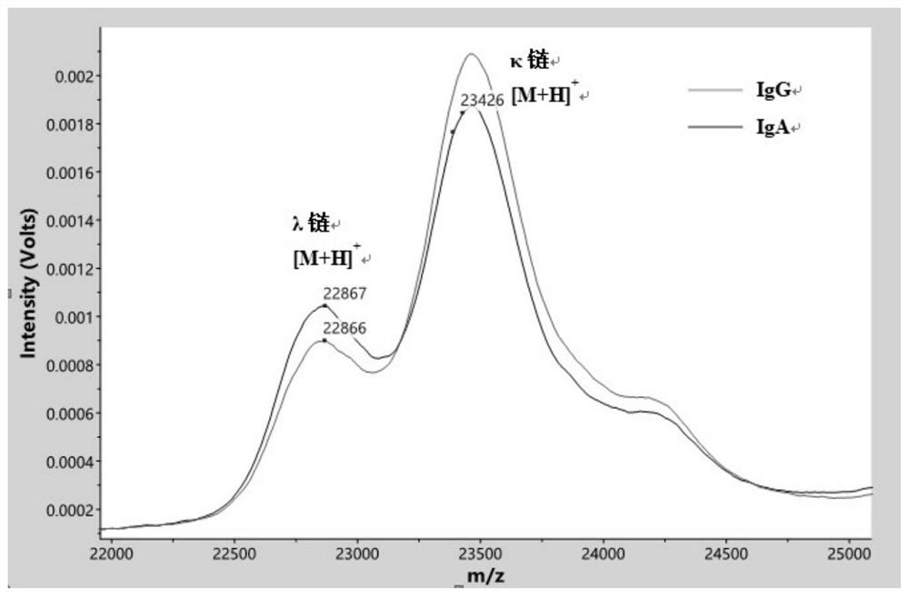 Method for detecting M protein in serum based on MADLI-TOF MS technology