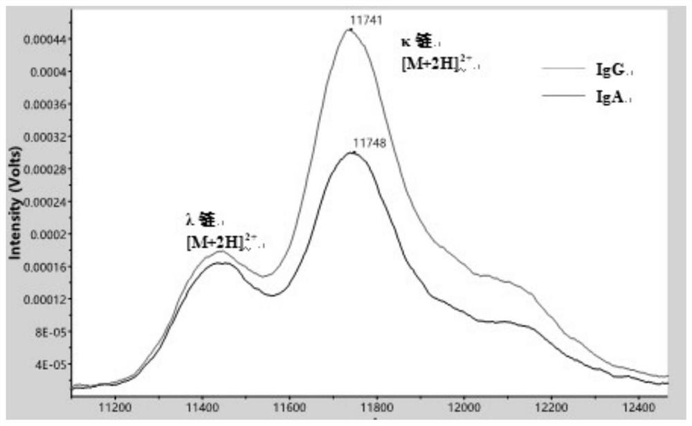 Method for detecting M protein in serum based on MADLI-TOF MS technology