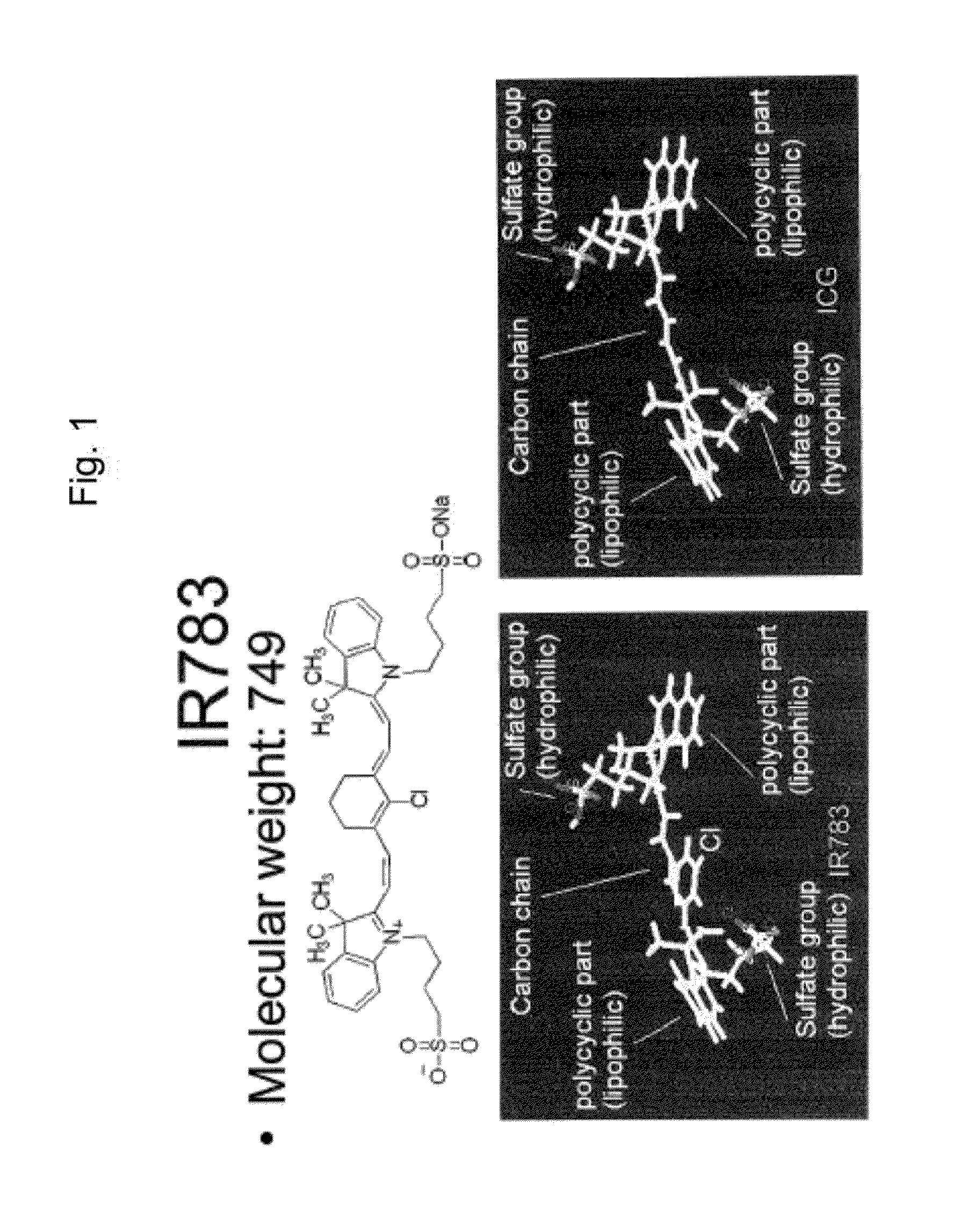 Method of using near infrared fluorescent dyes for imaging and targeting cancers