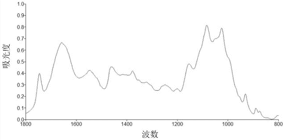 Infrared spectroscopic analysis and identification method for polypide of Cordyceps sinensis