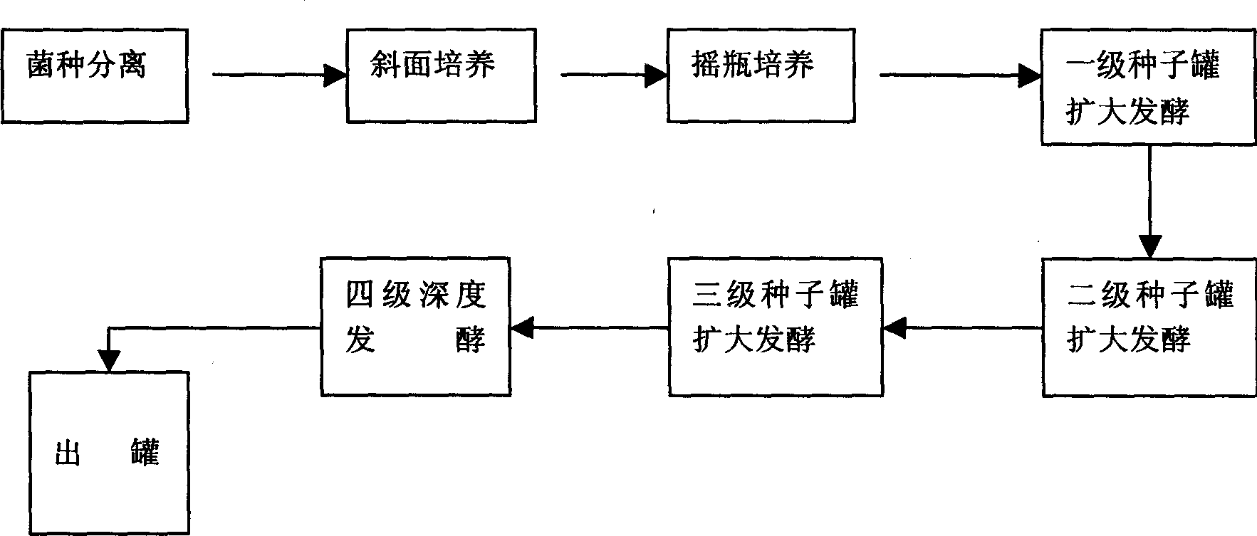 Ferment for producing aweto in large scale and technique for processing power of fungus