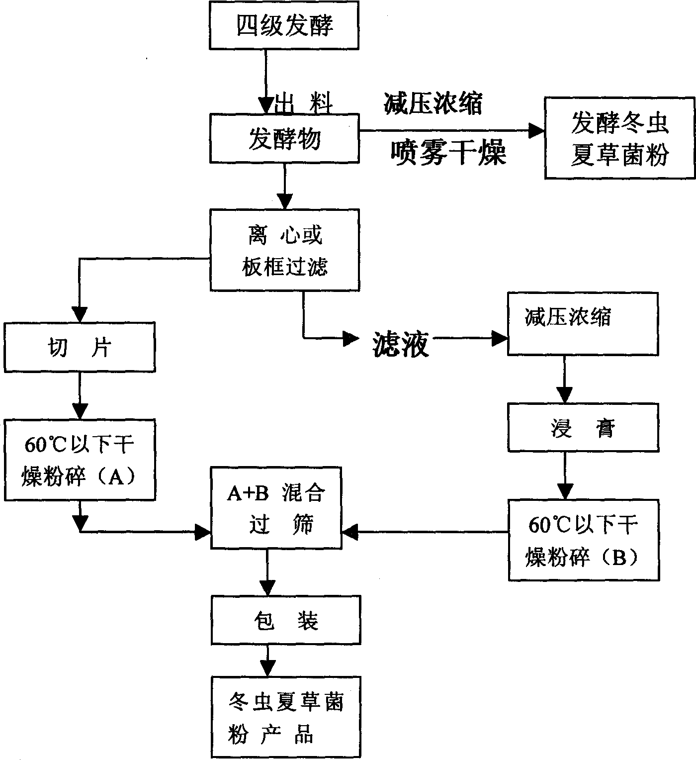 Ferment for producing aweto in large scale and technique for processing power of fungus