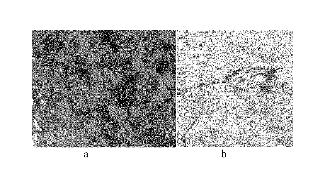 Process for preparing transparent/semi-transparent color dispersions and the color dispersions made thereof