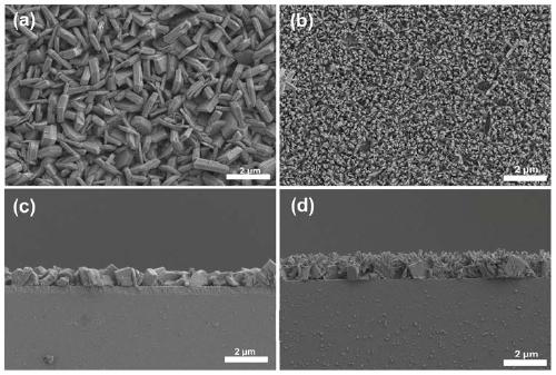 Heterojunction photo-anode for driving reduction of carbon dioxide and preparation method and application of heterojunction photo-anode