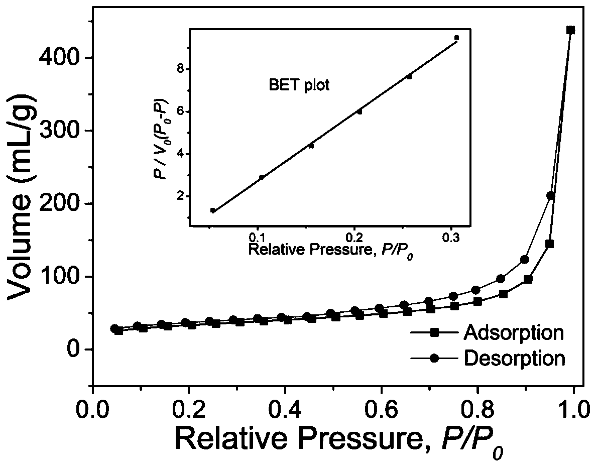 Preparation method and application of magnetic covalent organic framework material