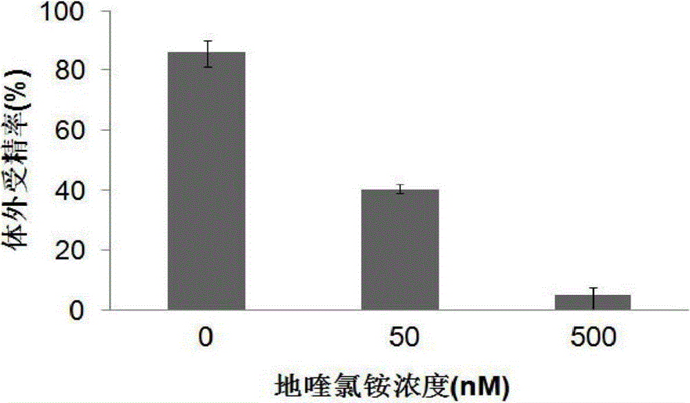 Application of ctbs protein as the target of sperm-egg binding receptors in the screening of sperm-egg binding inhibitors