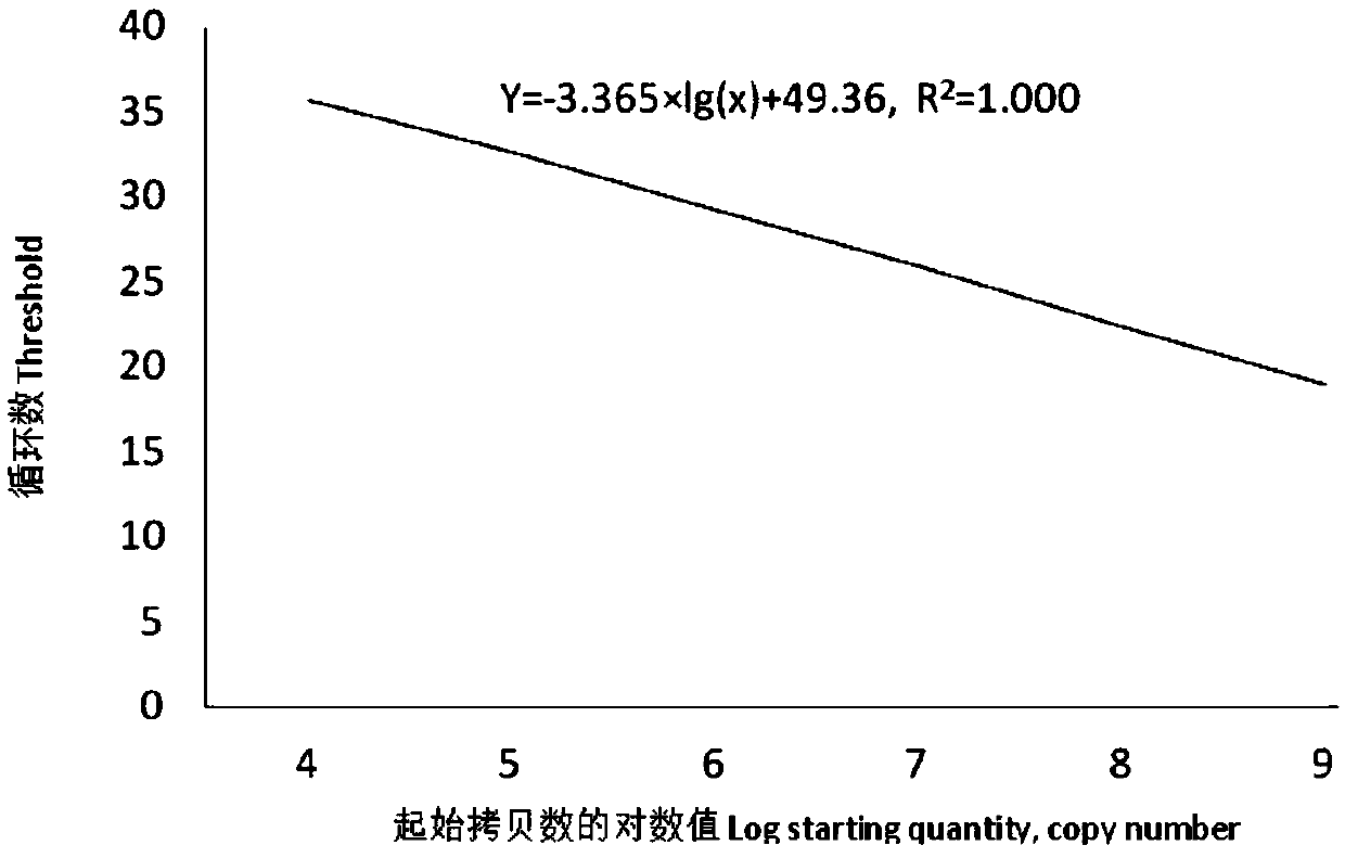 Porcine epidemic diarrhea virus TaqMan fluorescent quantitative RT-PCR kit and detection method thereof