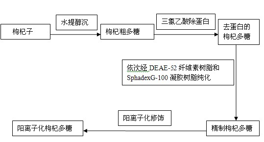 Nanoparticle gene delivery system of cationized lycium barbarum polysaccharides and preparation method thereof