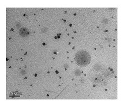 Nanoparticle gene delivery system of cationized lycium barbarum polysaccharides and preparation method thereof