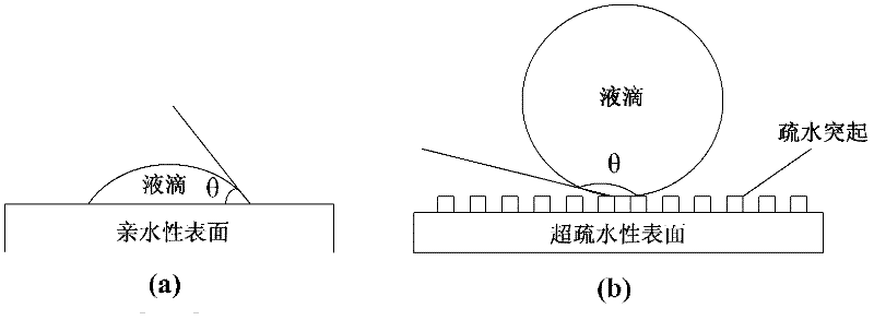 Flue gas condensation-type heat transfer pipe with bionic structure