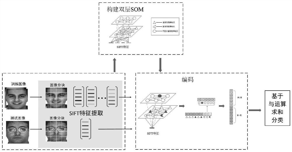 A binary encoding and recognition method of facial features based on two-layer self-organizing neural network