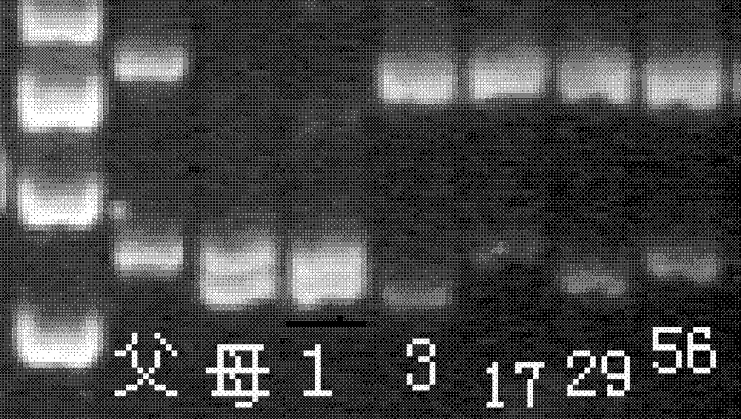 Microsatellite marking method applicable to parentage determination of hard clam