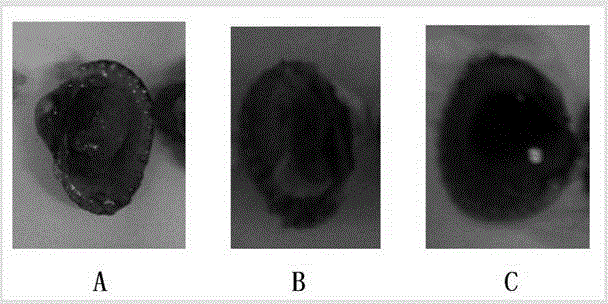 Processing method for instant shelled seasoning tegillarca granosa