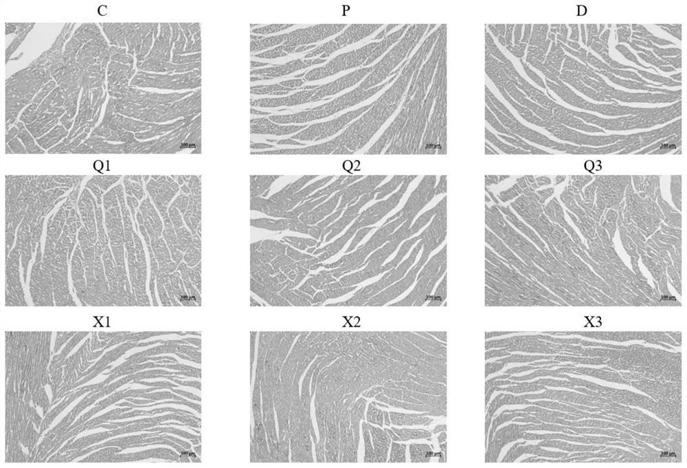 Application of fritillaria isosteroid alkaloid monomer