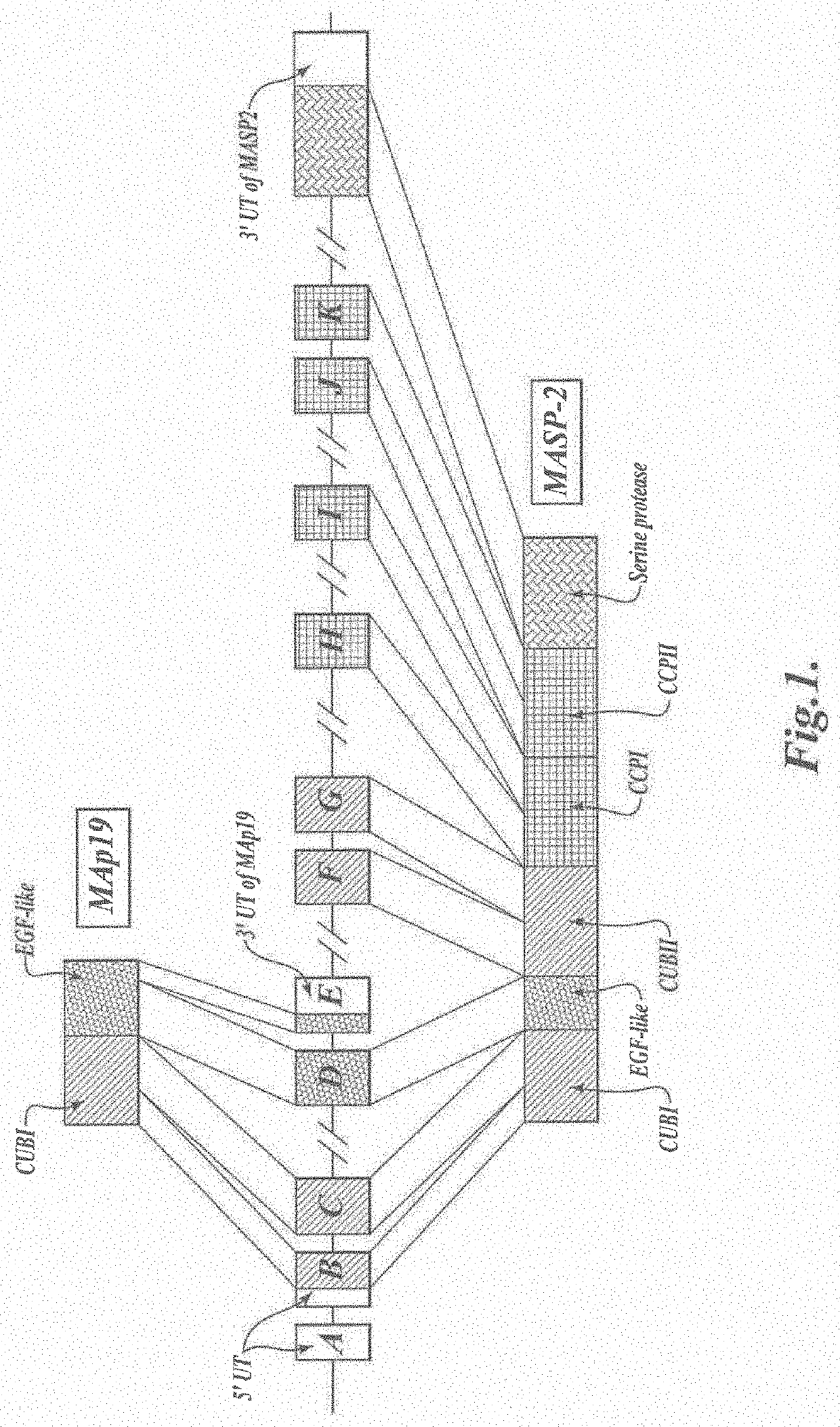 Methods for treating and/or preventing  idiopathic pneumonia syndrome (IPS) and/or capillary leak syndrome (CLS) and/or engraftment syndrome (ES) and/or fluid overload (FO) associated with hematopoietic stem cell transplant