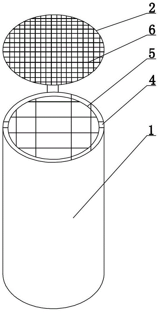 Trash can with pest killing function