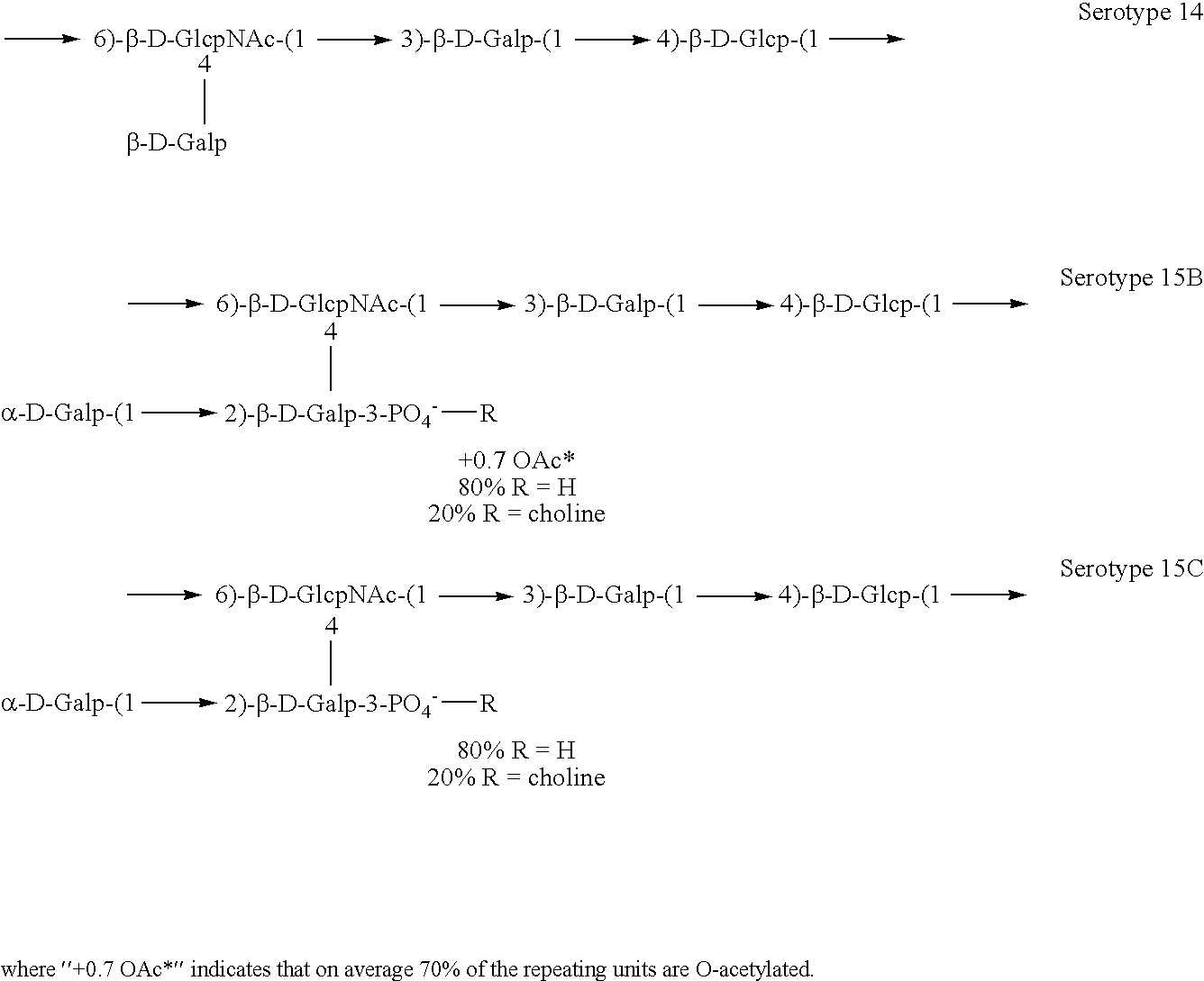 Induction of an immune response against streptococcus pneumoniae polyaccharides