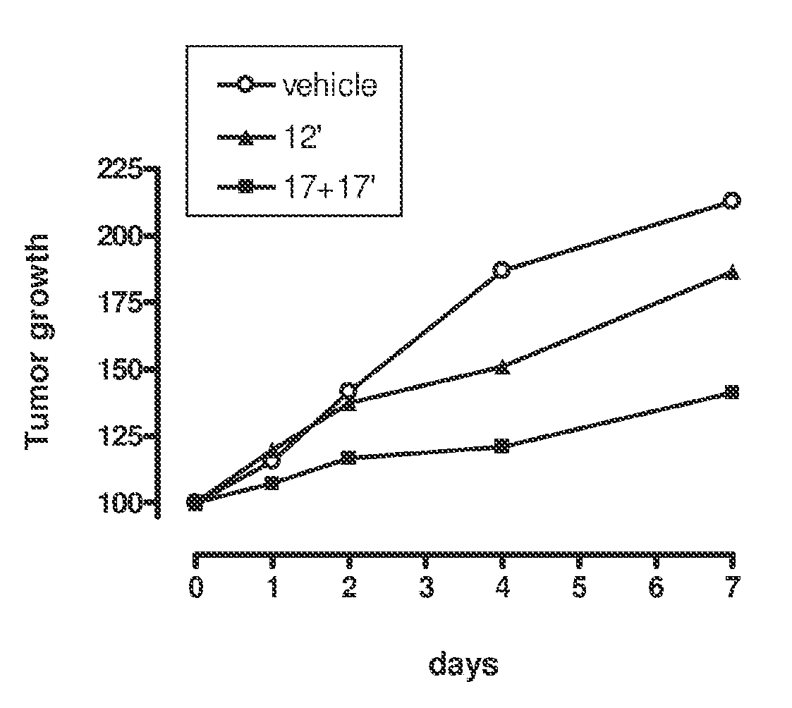 Substituted 2,3-dihydro-1H-benzo[a]pyrano[2,3-c]phenazines as anti-angiogenic and anti-cancer agents