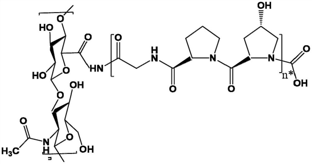 Collagen mimic peptide modified hyaluronic acid-based joint injection preparation and preparation method thereof and application of joint injection preparation