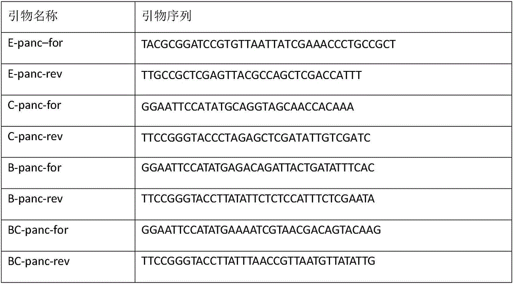 Method for preparing genetically engineered bacteria for efficiently compounding pantothenic acid and application thereof