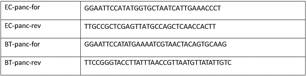 Method for preparing genetically engineered bacteria for efficiently compounding pantothenic acid and application thereof