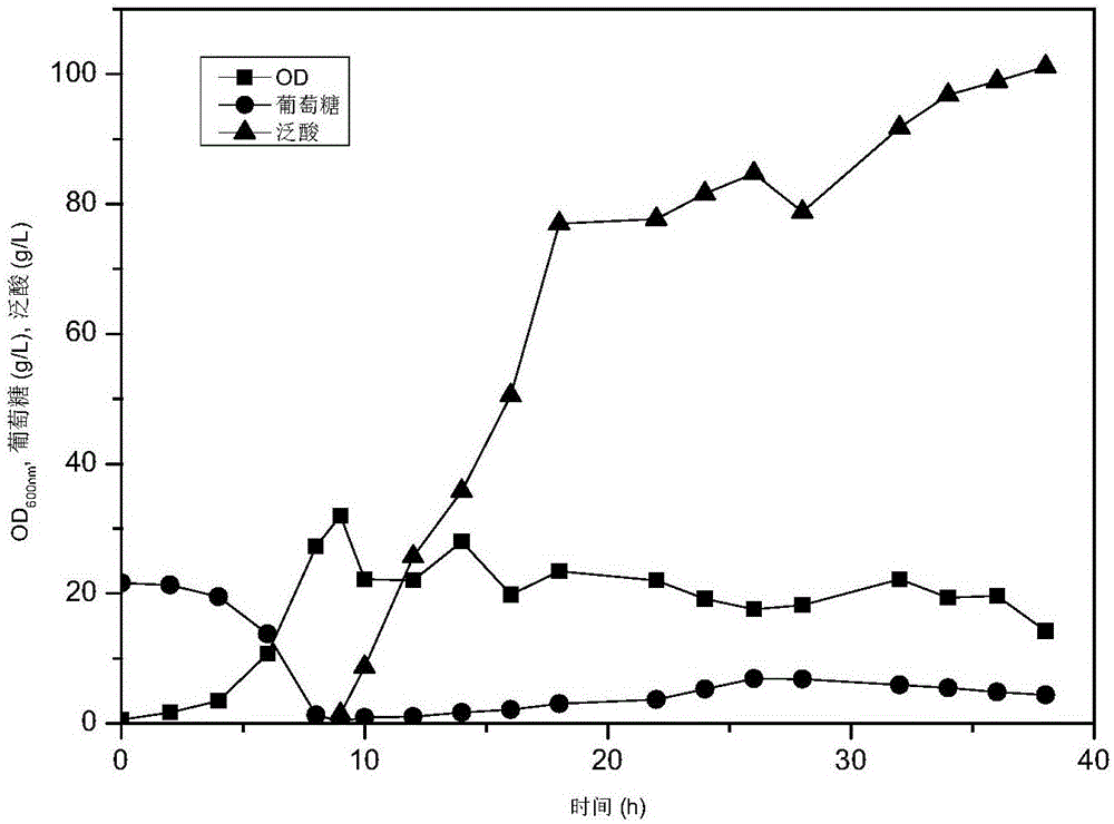 Method for preparing genetically engineered bacteria for efficiently compounding pantothenic acid and application thereof