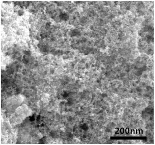 Pt-Ni alloy nanomaterial adopting network structure and preparation method thereof