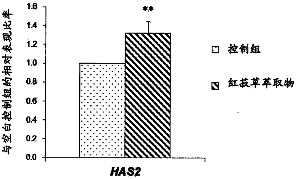 Use of red semblance extract for improving the gene expression of hyaluronic acid synthase