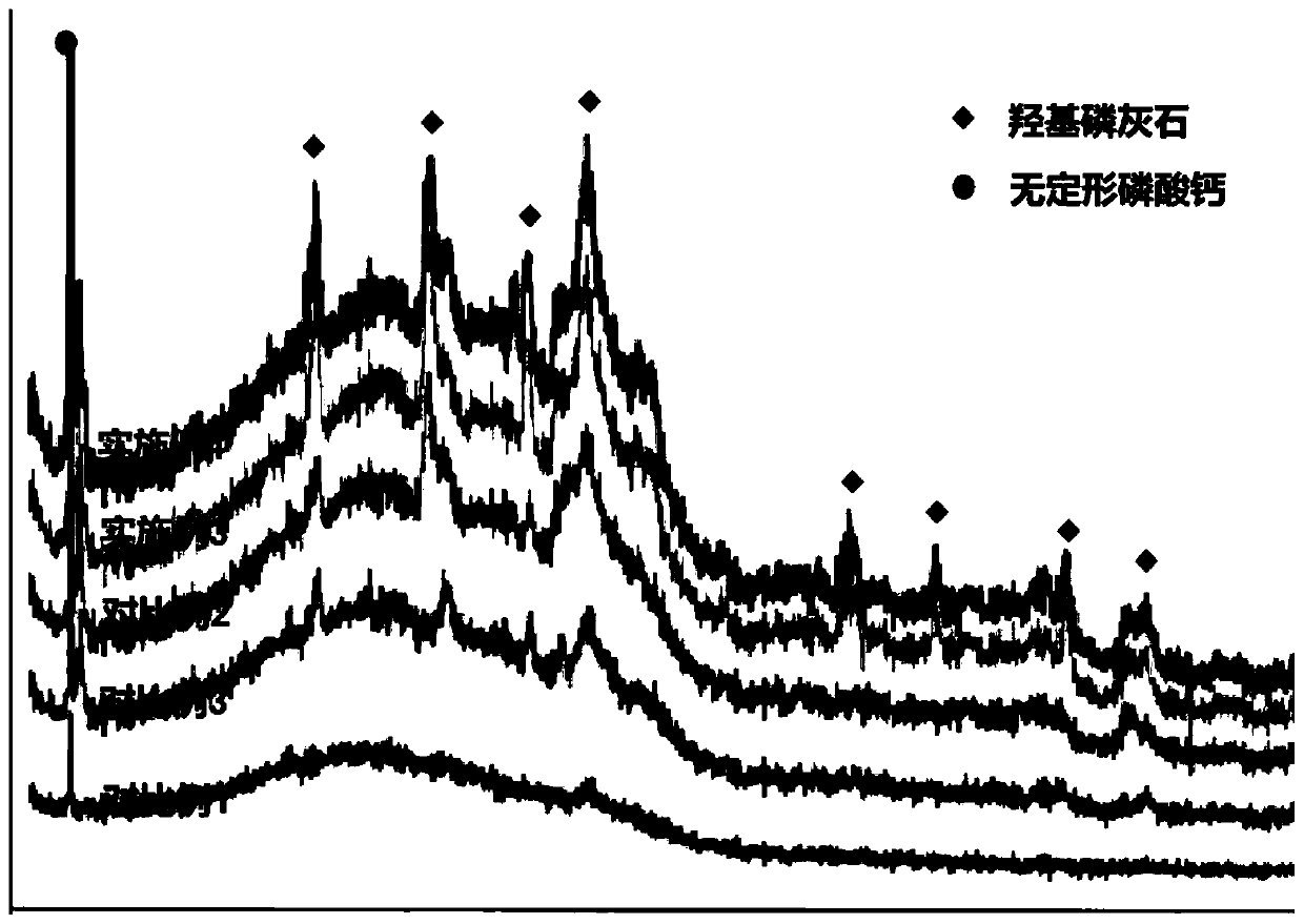 Biomimetic mineralized membrane prepared based on layered eggshell membrane and protein induction, preparation method and application