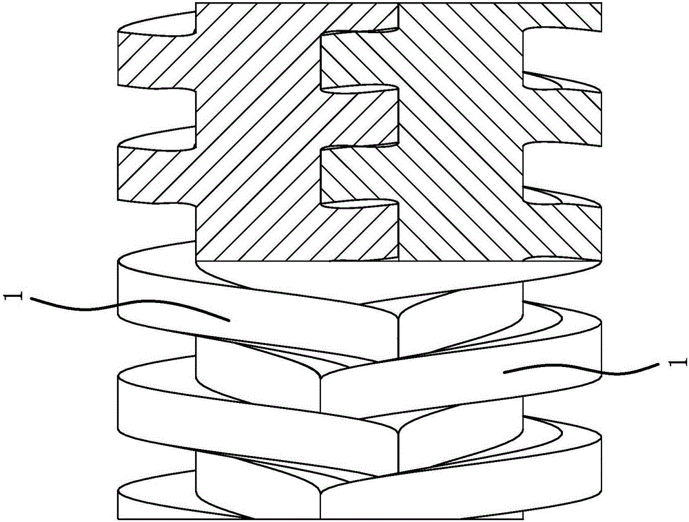 Screw vacuum pump