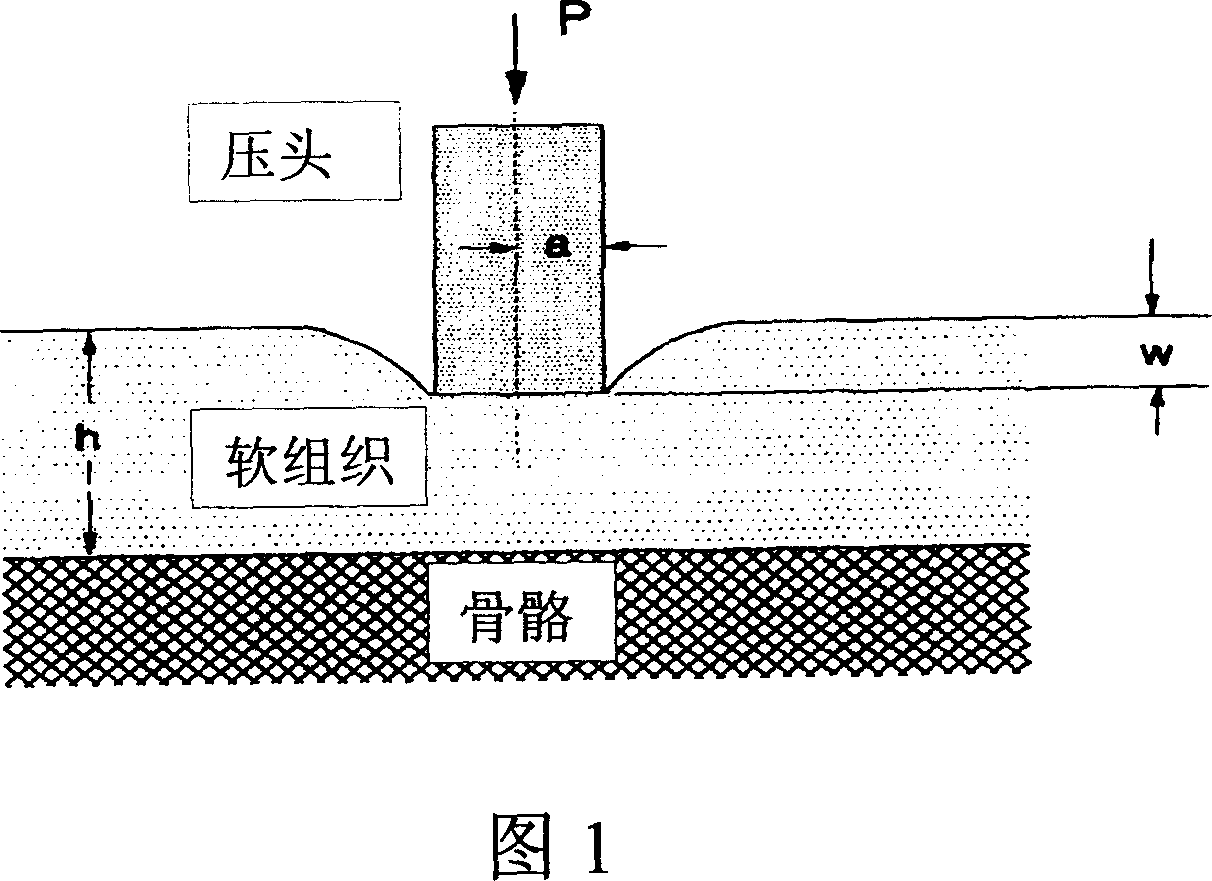 Method for testing and determining material or organizational Yang modulus and poisson ratio by impression