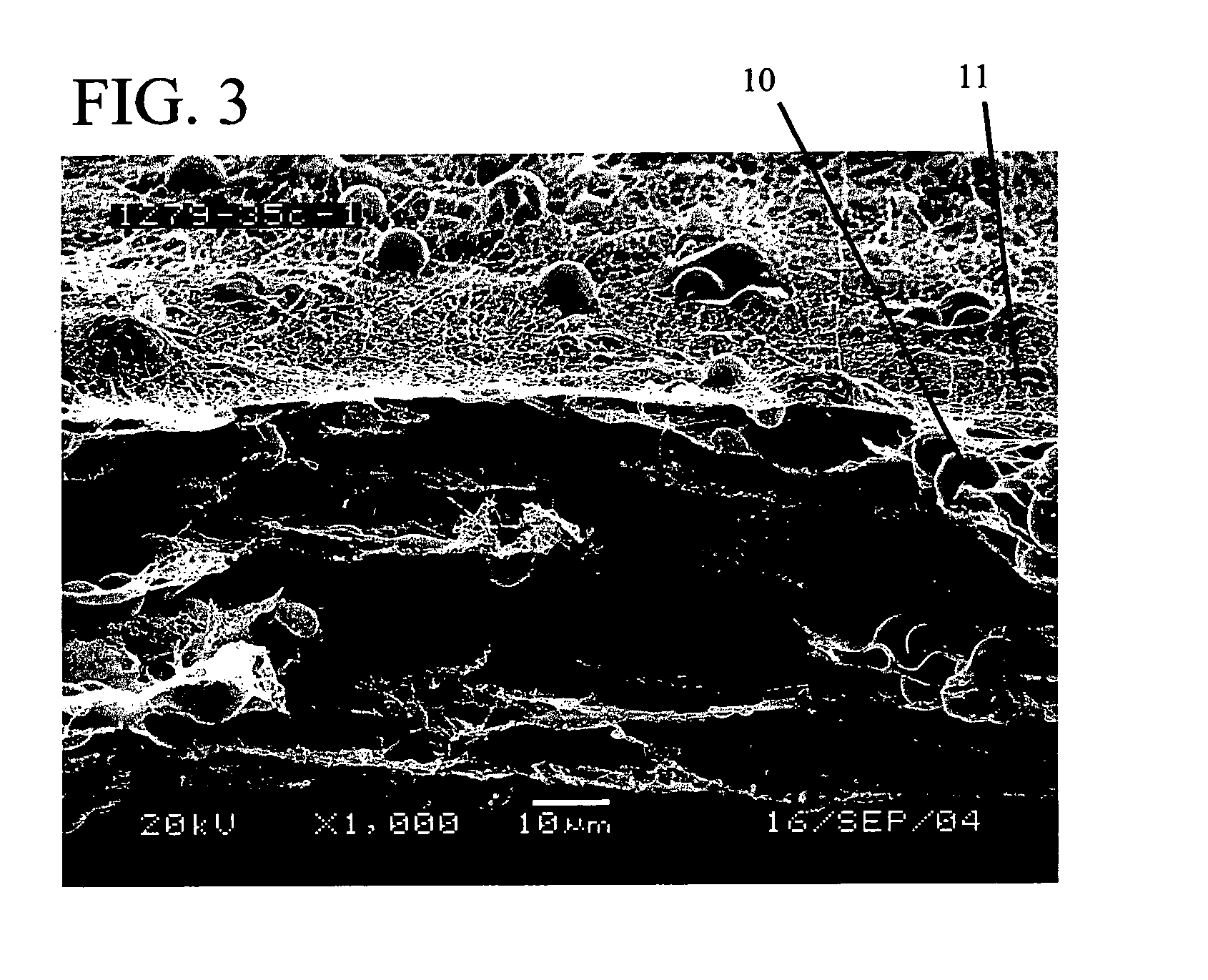 Reduced solidity web comprising fiber and fiber spacer or separation means