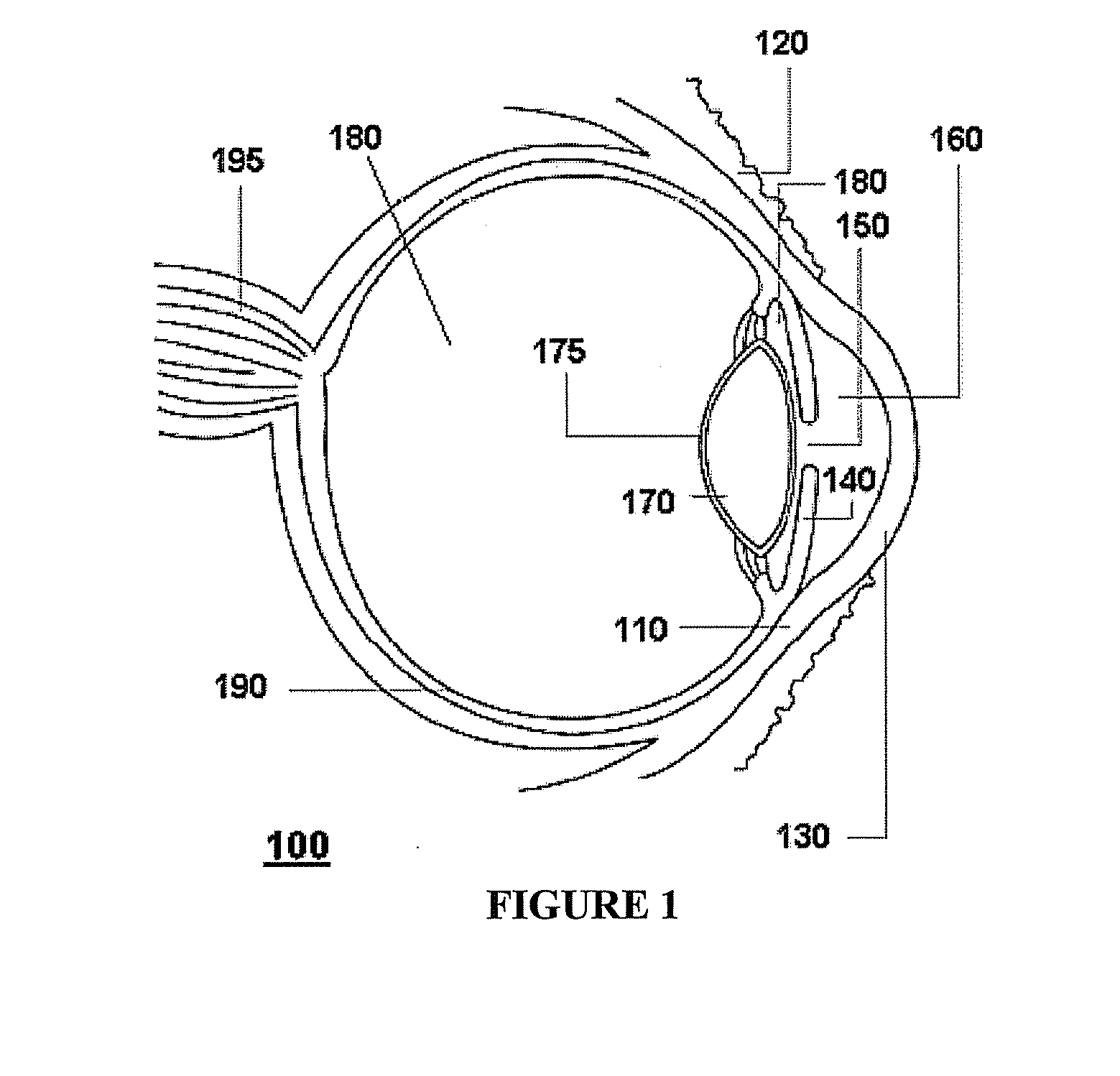 Advanced Electro-Active Optic Device