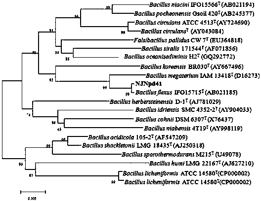 Bactericide and process for producing agricultural amino acid fertilizer by detoxifying and hydrolyzing rape seed cake