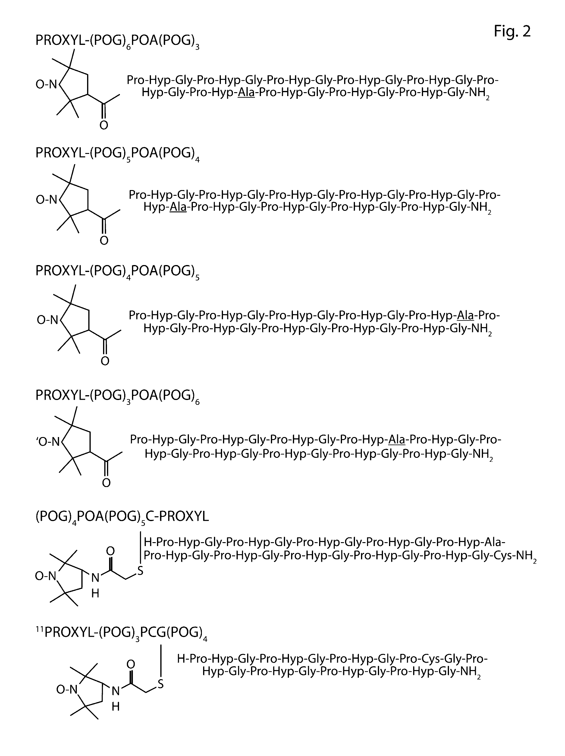 Delivery of therapeutic agents by a collagen binding protein