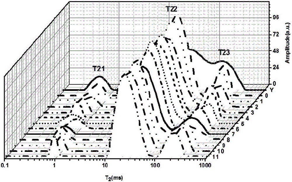 Quick caviar quality detection method based on low-field nuclear magnetic resonance technology