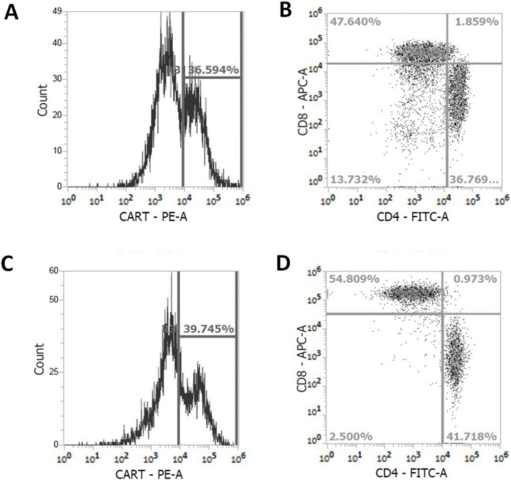 Myeloid leukemia CAR-T treatment carrier based on OCTS technology and construction method and application of myeloid leukemia CAR-T treatment carrier