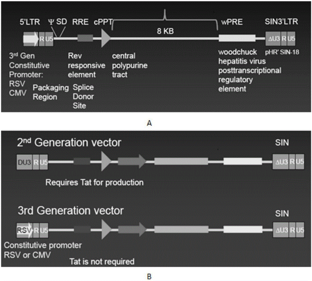 Myeloid leukemia CAR-T treatment carrier based on OCTS technology and construction method and application of myeloid leukemia CAR-T treatment carrier