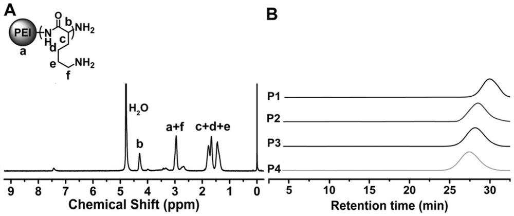 Branched antibacterial polyamino acid and its preparation method and application